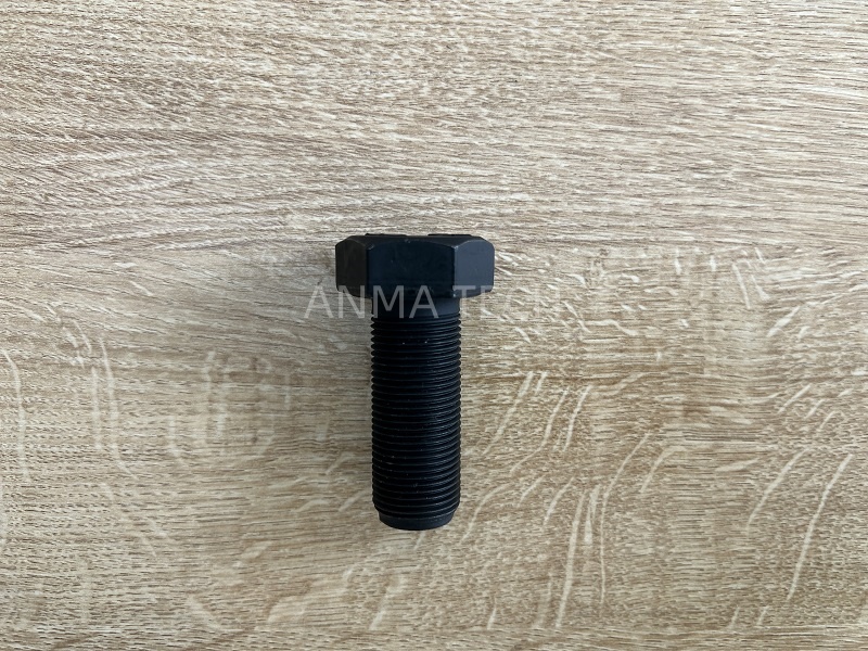 Bolt 80055889