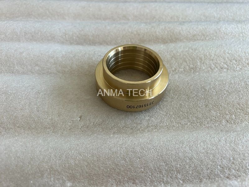 Piston Guide 3115167100