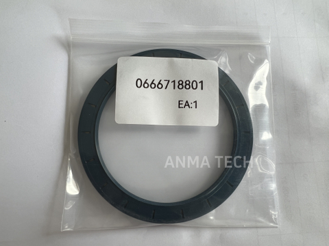 Seal Ring 0666 7188 01
