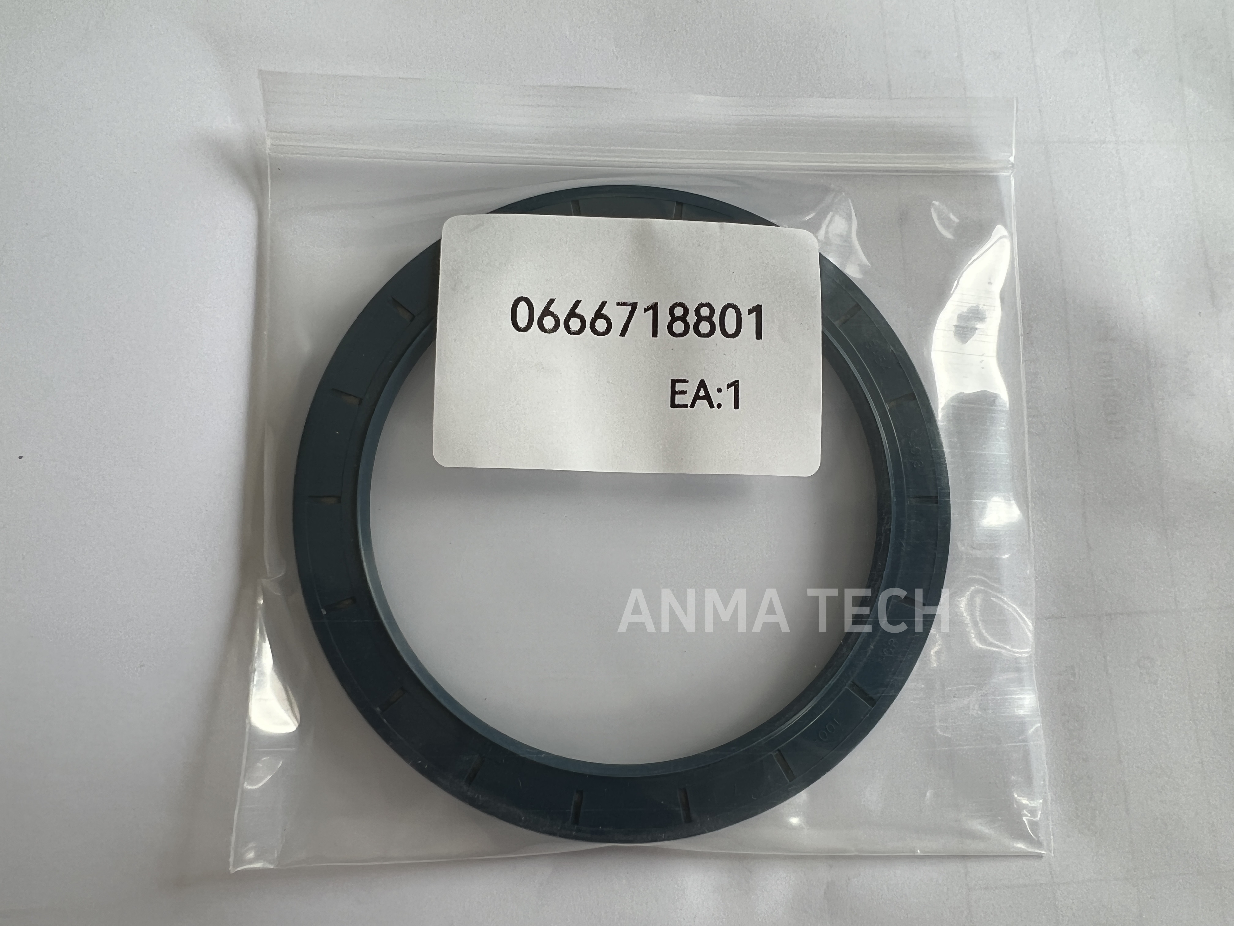 Seal Ring 0666 7188 01