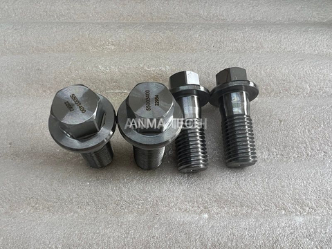 Screw 55003400