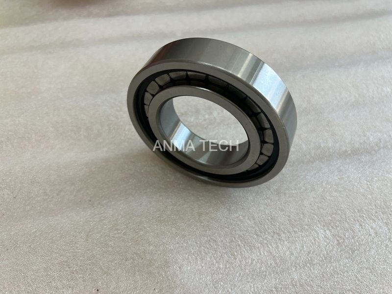 Bearing 1326030251 for DANA