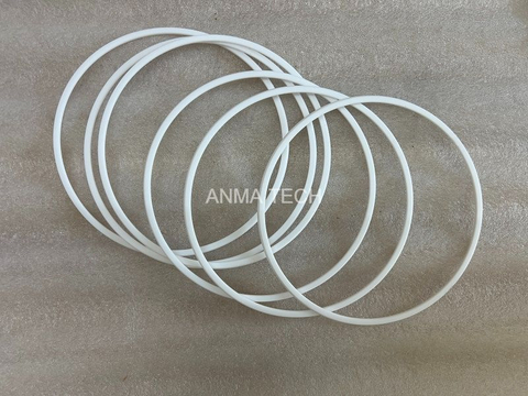 Seal 12720514 for DANA