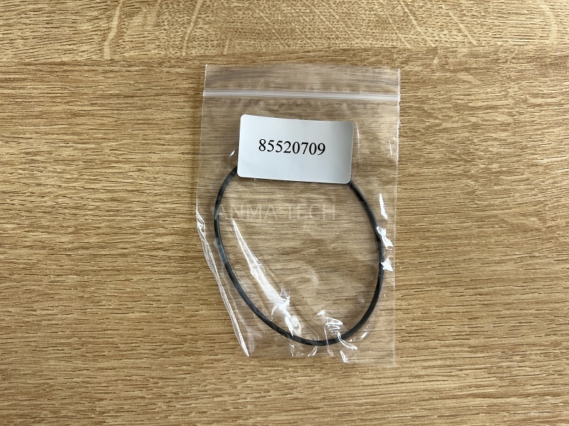 O-ring 85520709