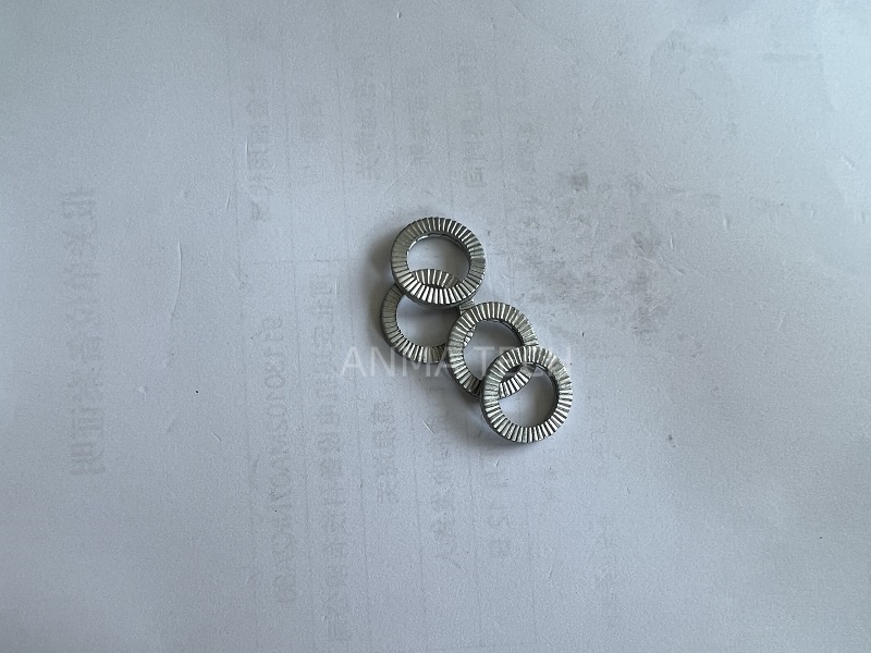 Disk Lock Washer AF03000032