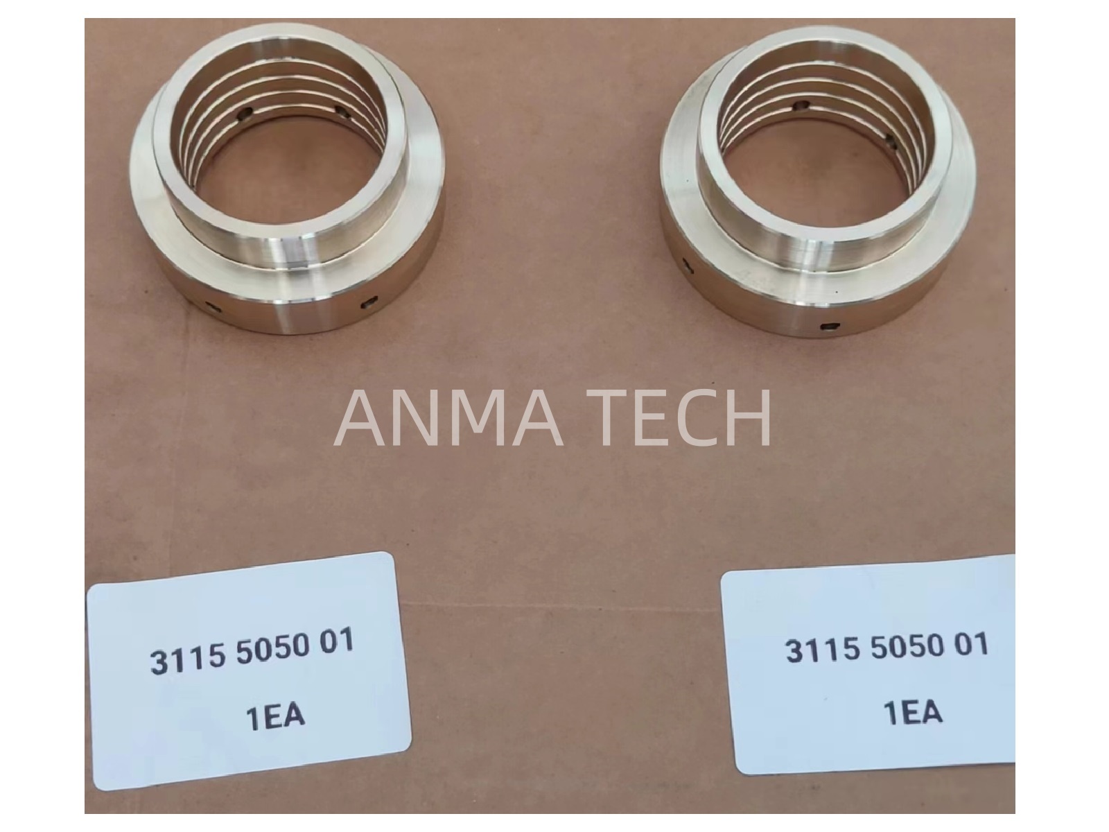 Piston Guide 3115 5050 01