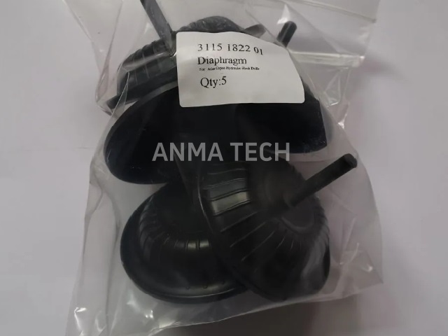 Diaphragm 3115182201