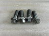 Screw 55003400