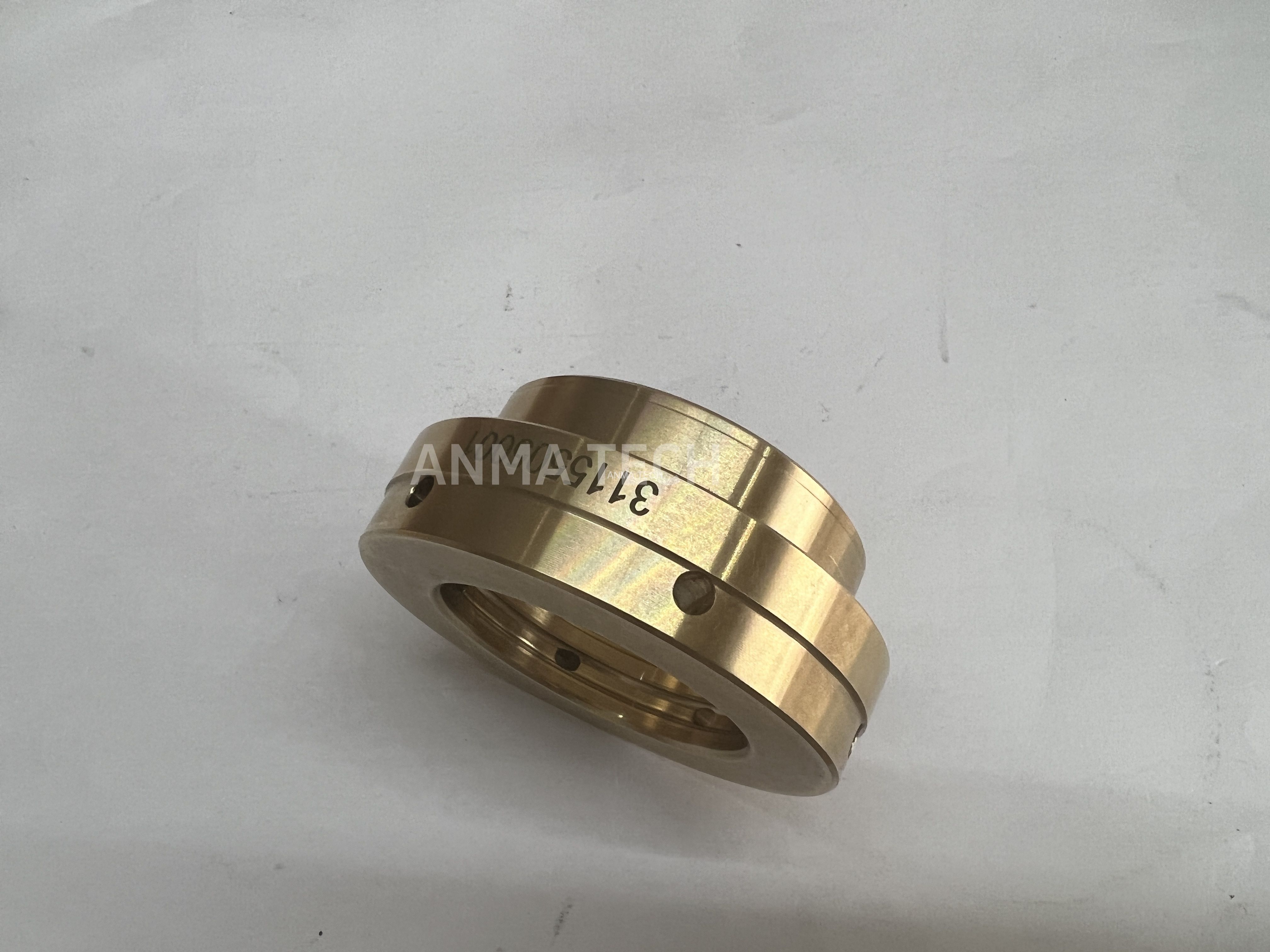 Piston Guide 3115505001