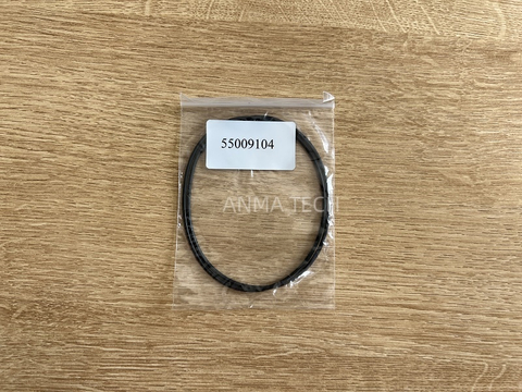 O-ring 55009104