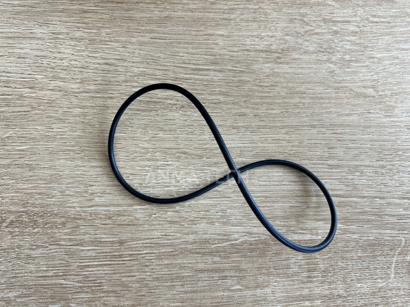 O-ring 80081679