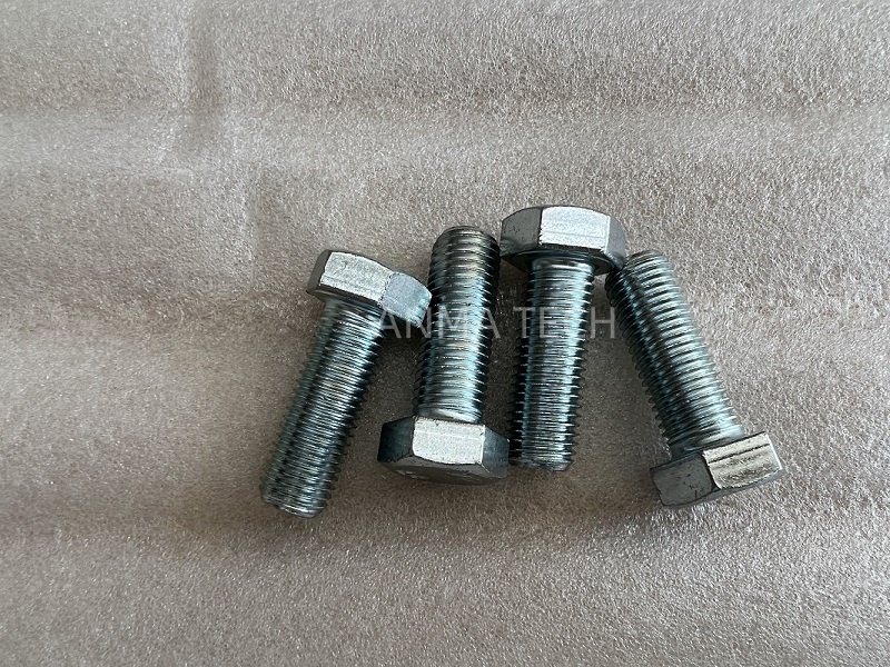 Hexagon Head Screw 80053869