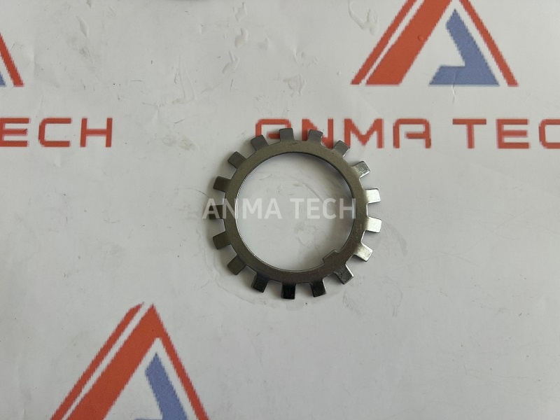 Lock Washer 51441160