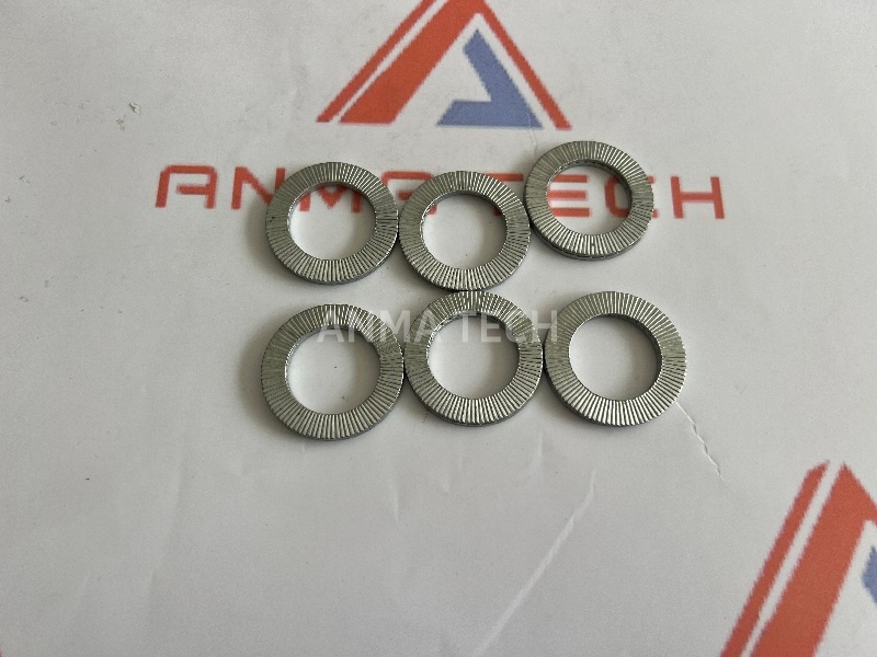 Lock Washer 85128469