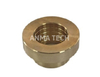 Piston Guide 3115 1680 01