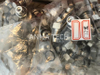 Air Evacuation Valve 3115 2196 00