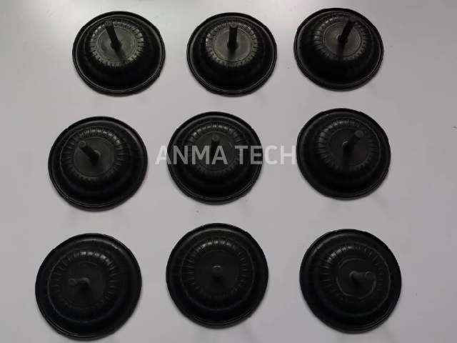 Diaphragm 3115182201