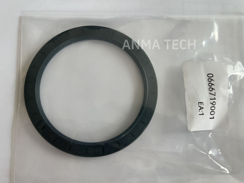 Seal Ring 0666 719001