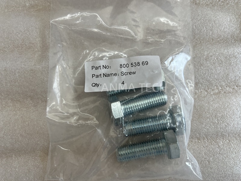 Hexagon Head Screw 80053869