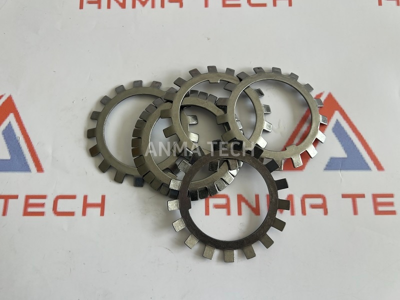 Lock Washer 51441160