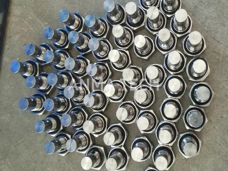 Air Evacuation Valve 3115 2196 00