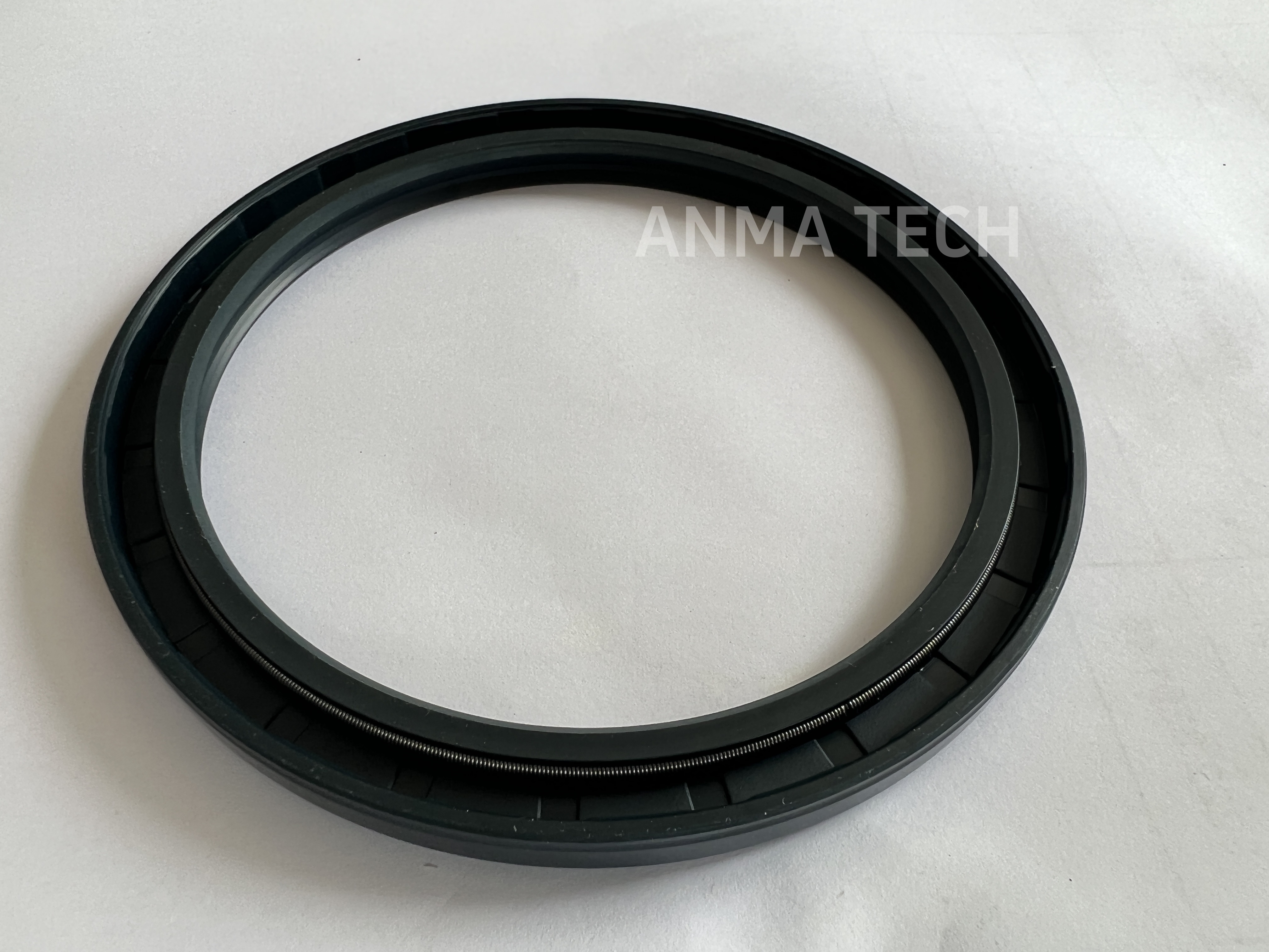 Seal Ring 0666 719001