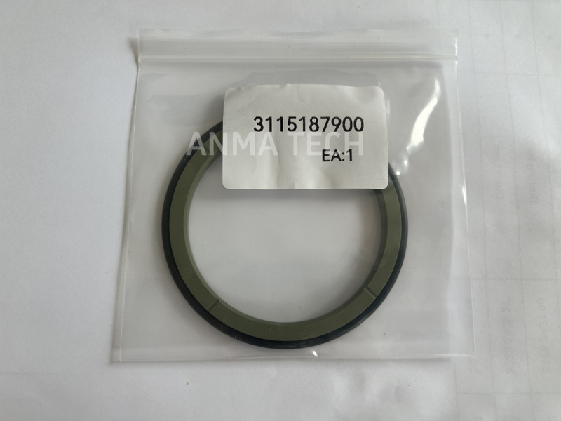 Seal Kit 3115187900