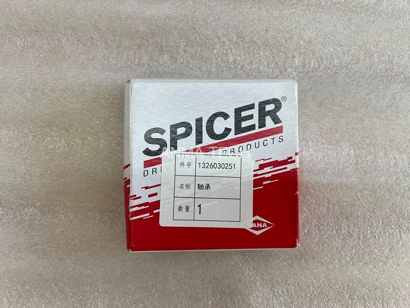 Bearing 1326030251 for DANA