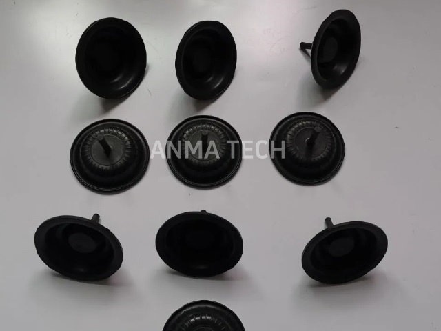 Diaphragm 3115182201