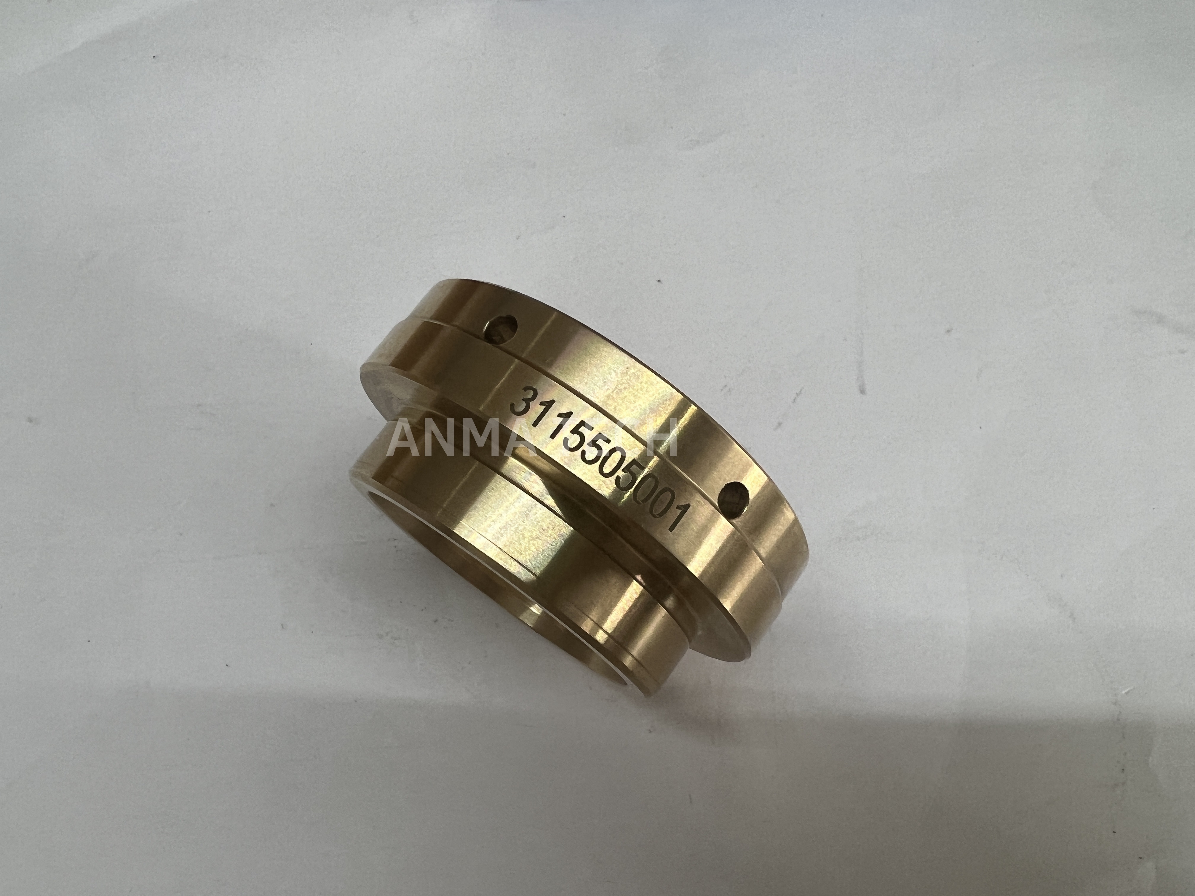 Piston Guide 3115505001