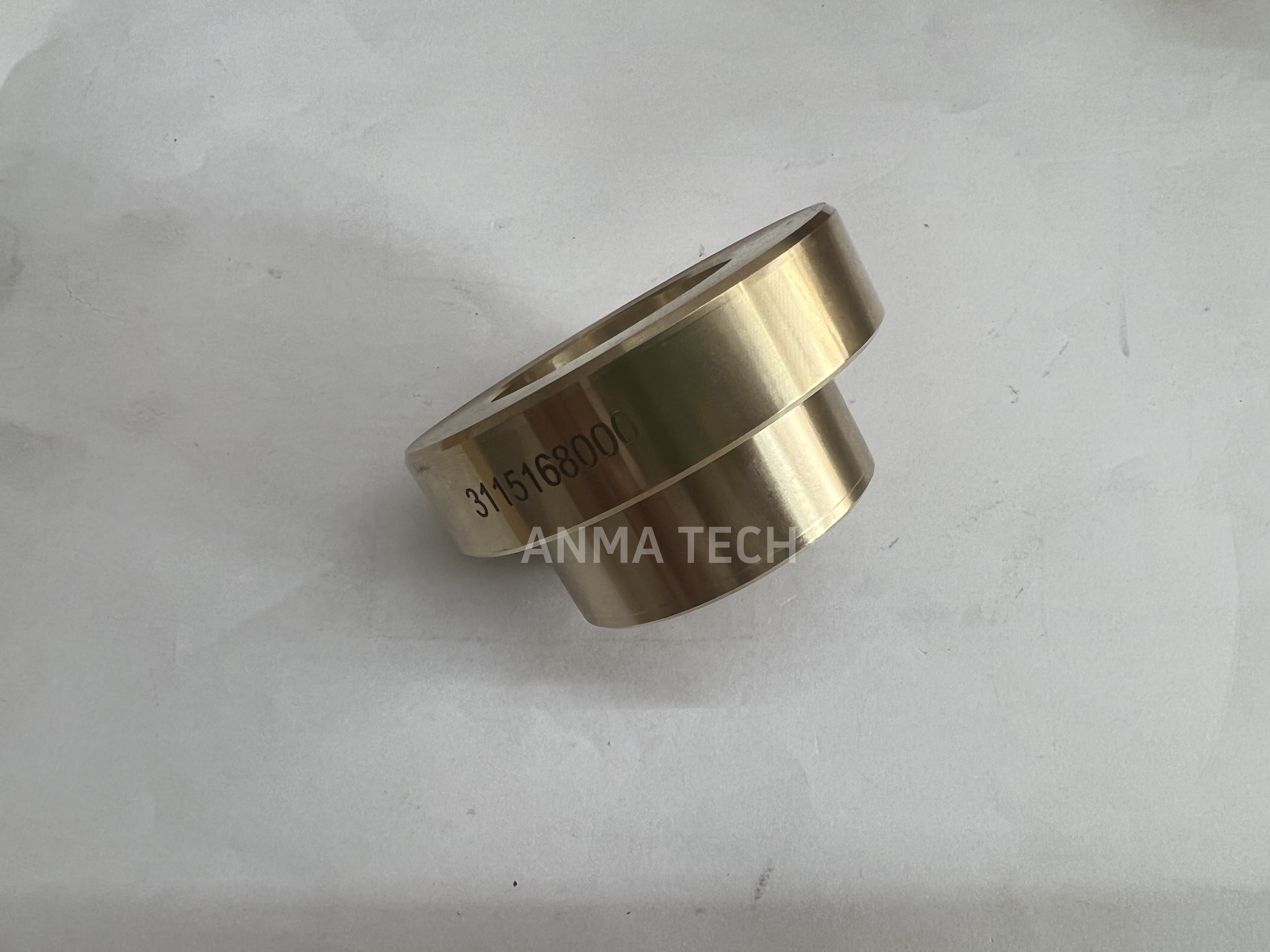 Piston Guide 3115168000
