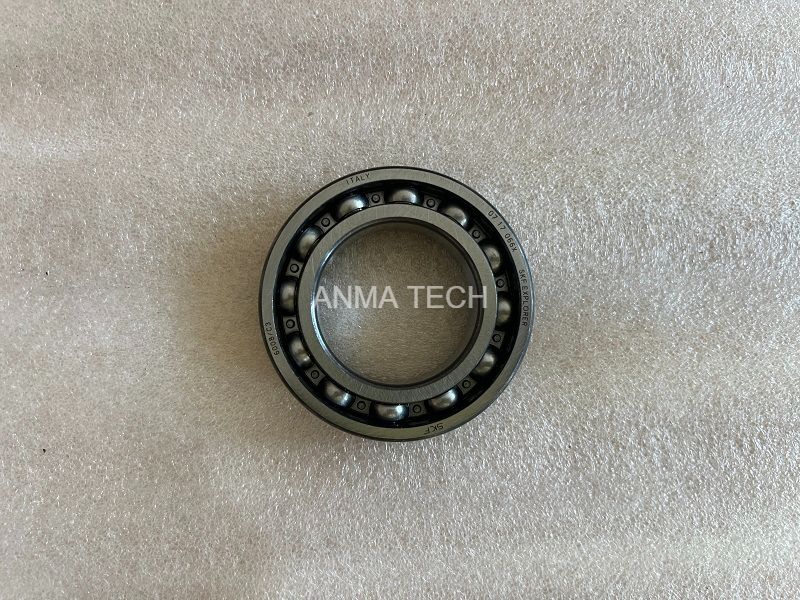 Bearing 121038331 for DANA