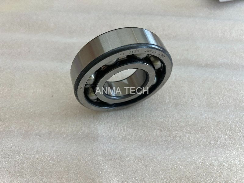 Bearing 12720113 for DANA