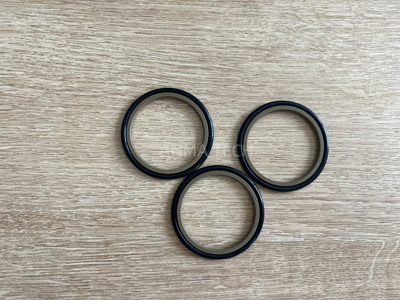 Seal BG00917680