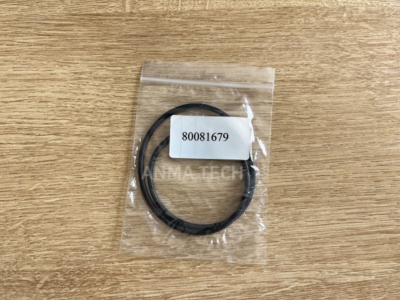 O-ring 80081679