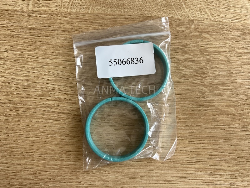 GUIDE RING 55066836