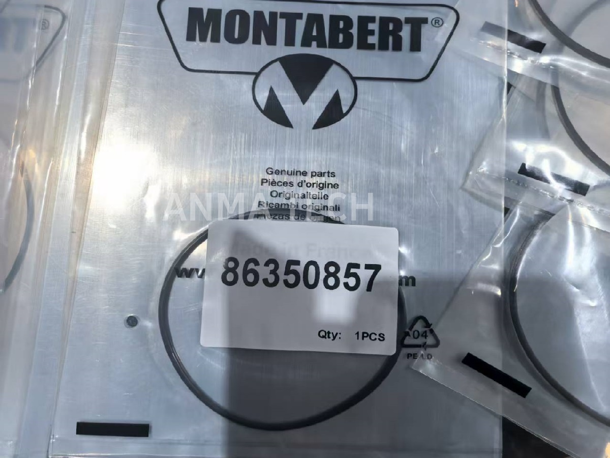 O-ring 86240098/86350857/86770898/86267069