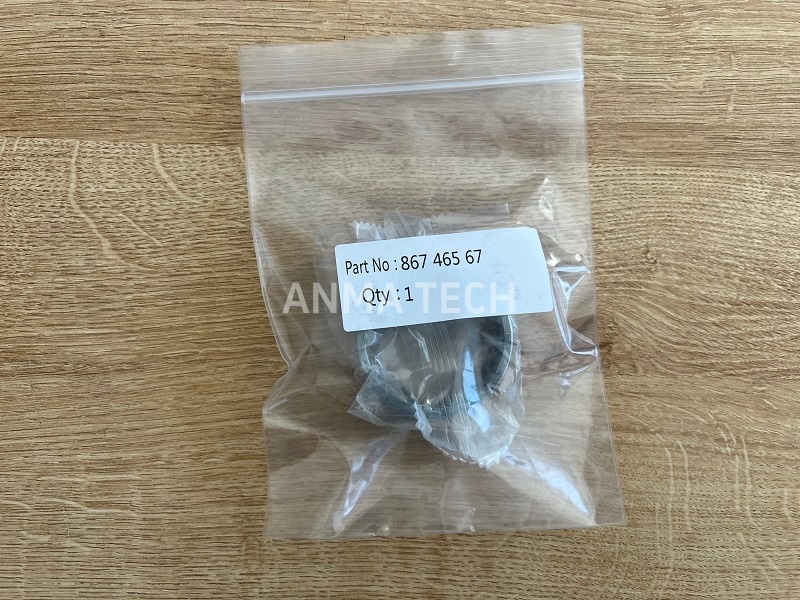 Needle Bearing 86746567