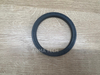Seal Ring 0666719001