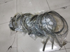 Pull Rope. 3128 0784 11