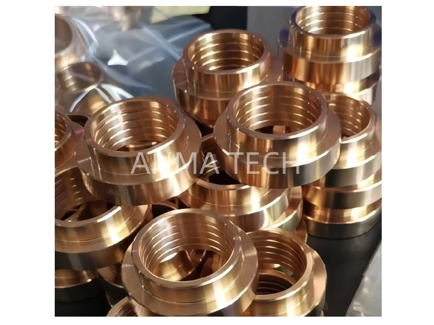 Piston Guide 3115 5050 01