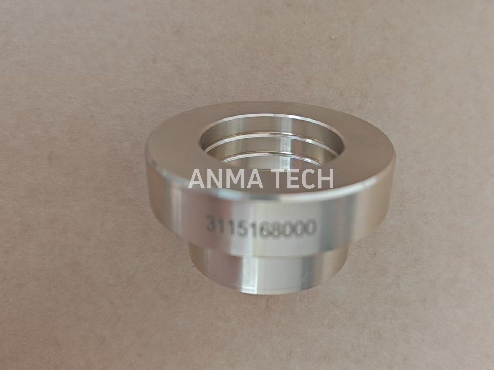 Piston Guide 3115168000