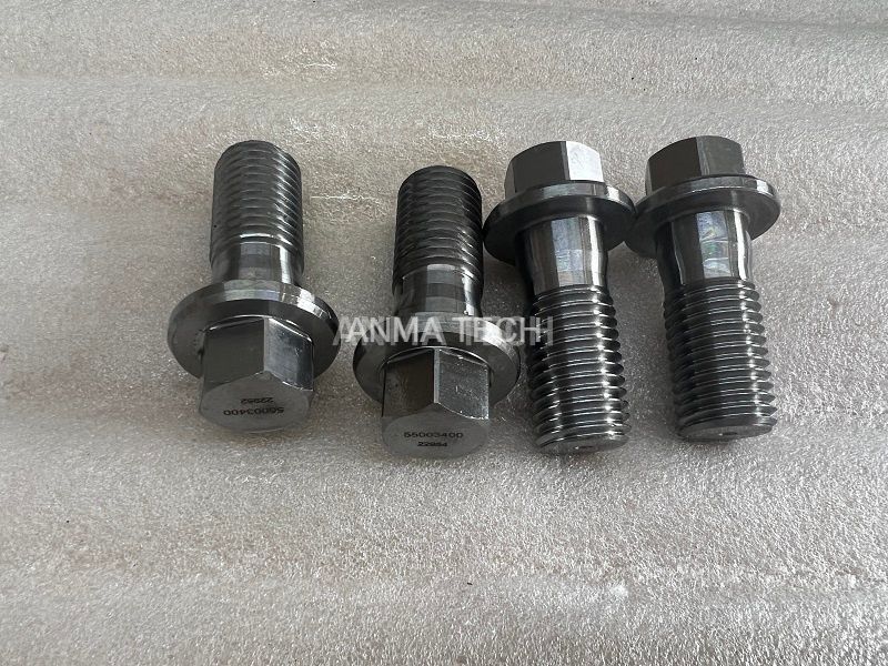 Screw 55003400