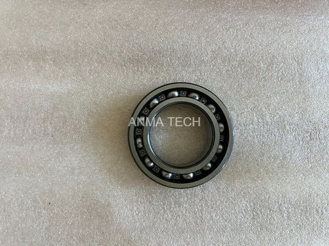 Bearing 121038331 for DANA