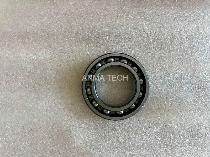 Bearing 121038331 for DANA