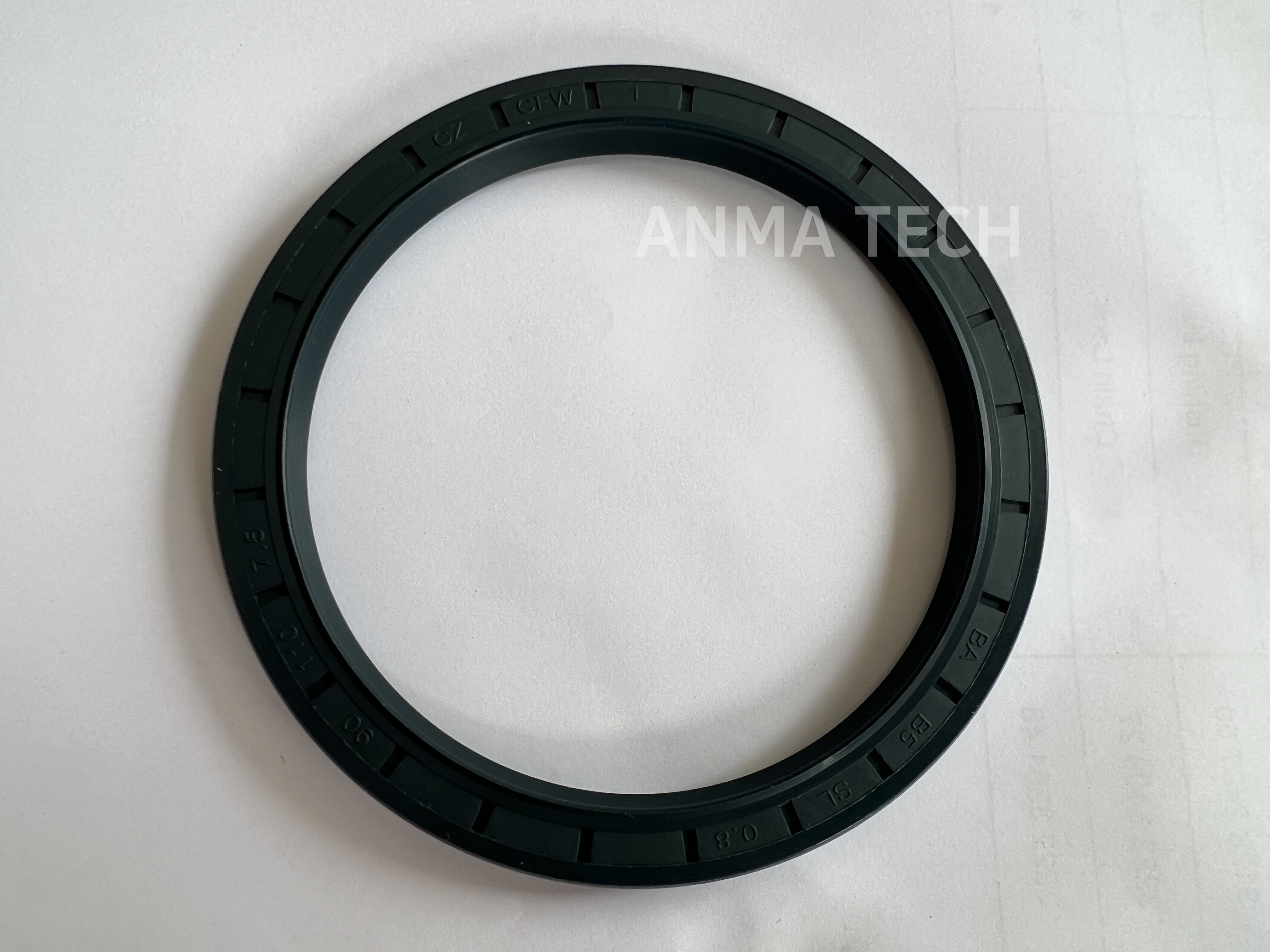 Seal Ring 0666 719001