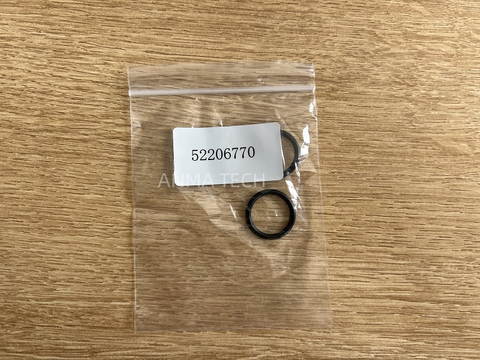 O-ring 52206770