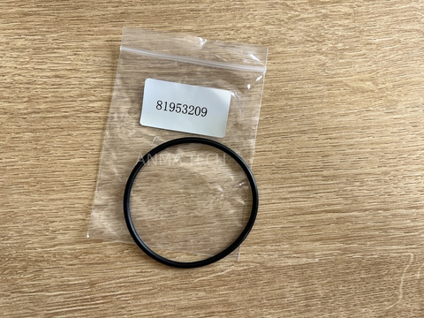 O-Ring 81953209