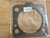 Gasket Plate 15274818