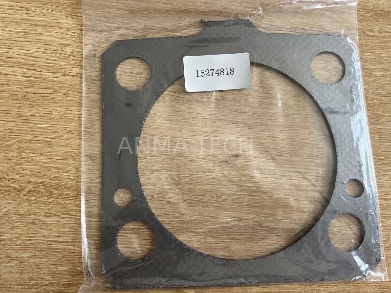 Gasket Plate 15274818